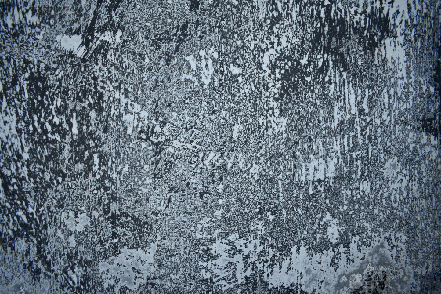 Revelatory Cognition